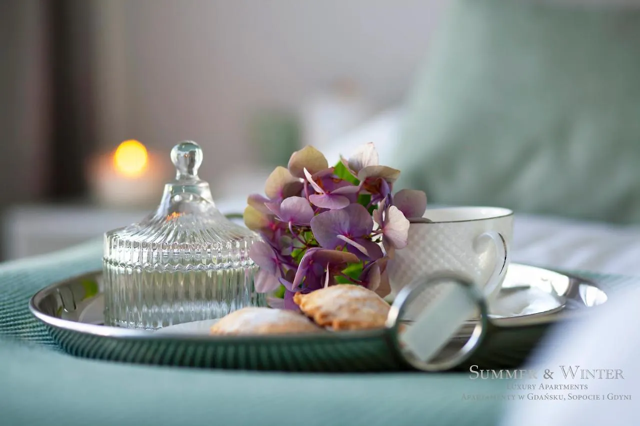 Luxury Summerwinter Malczewskiego 86 M 12 Gdansk, Parking Podziemny Na Pilota Apartment